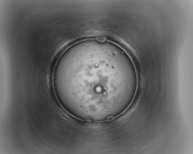 X0000115711259200911191242