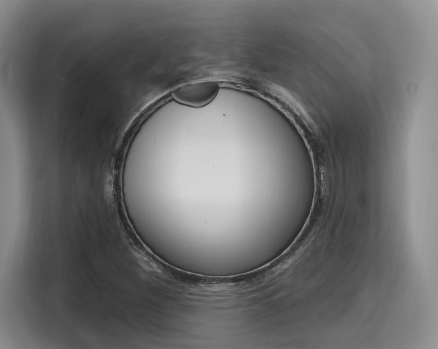 X0000115711260200911191242