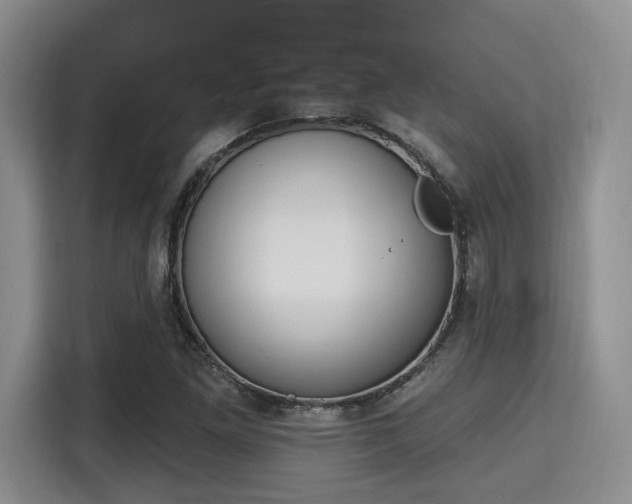 X0000115711261200911191242