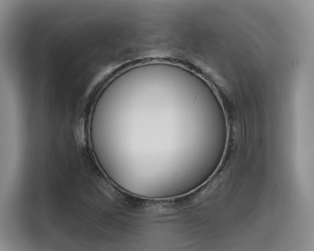 X0000115711262200911191242