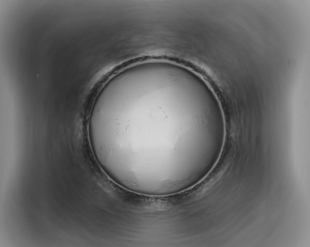 X0000115711263200911191242