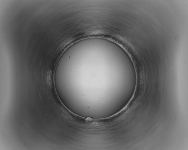 X0000115711265200911191242