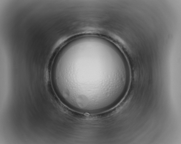 X0000115711267200911191242