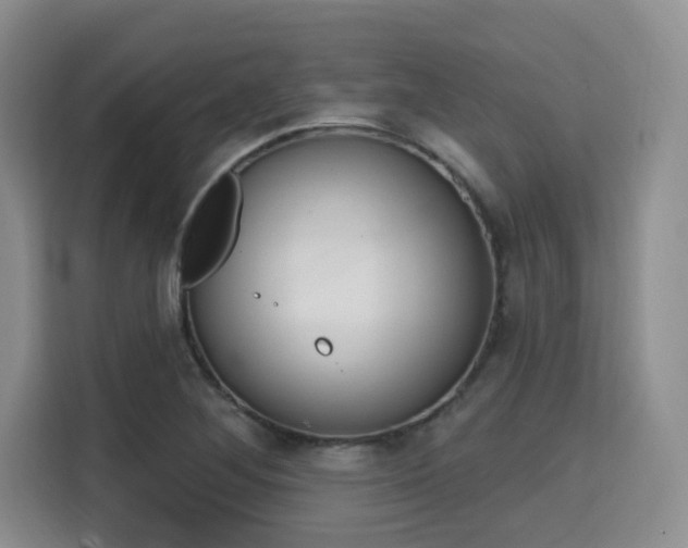 X0000115711268200911191242