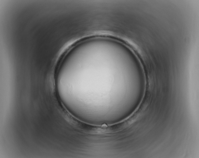 X0000115711271200911191242