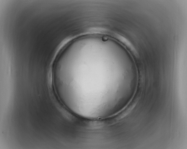 X0000115711275200911191242