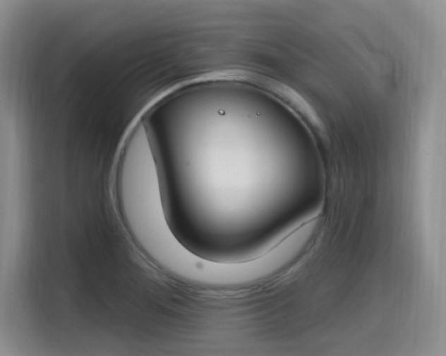 X0000115711276200911191242