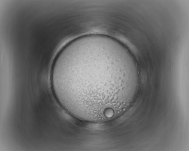 X0000115711278200911191242