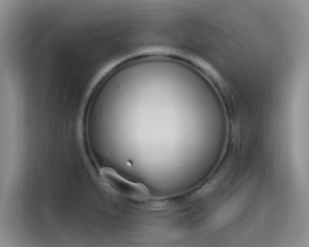 X0000115711279200911191242