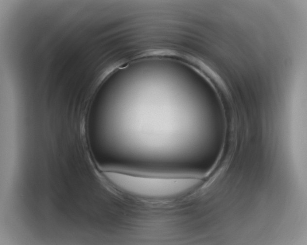 X0000115711281200911191242