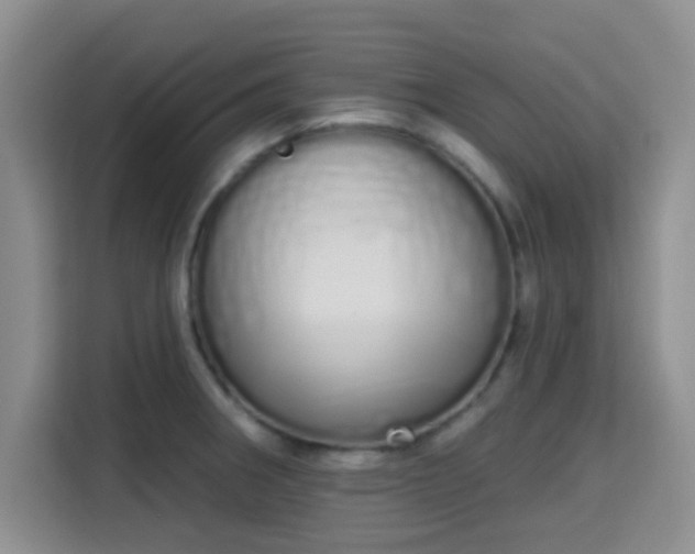 X0000115711282200911191242