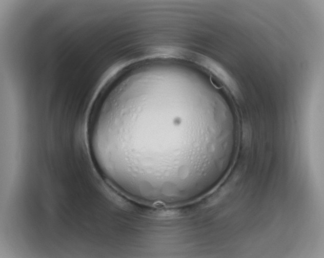 X0000115711283200911191242