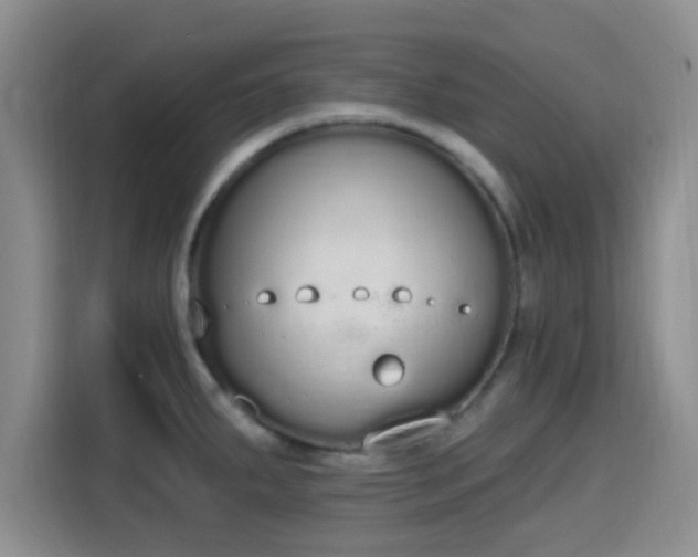 X0000115711287200911191242