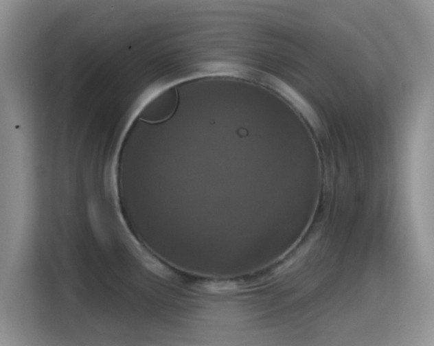 X0000115711291200911191242