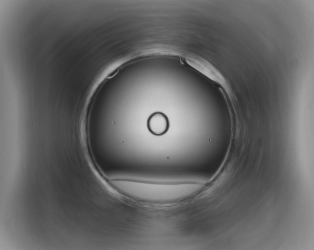 X0000115711293200911191242