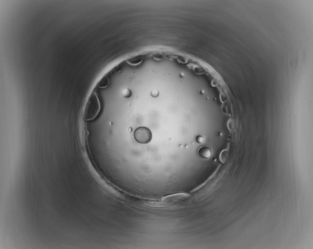 X0000115711295200911191242