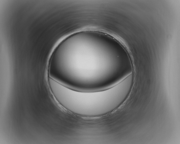 X0000115711296200911191242