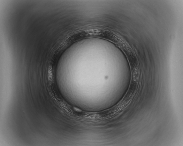 X0000115711298200911191241