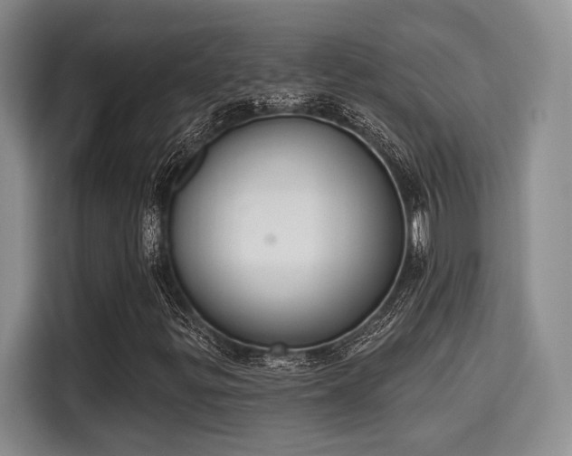 X0000115711299200911191241