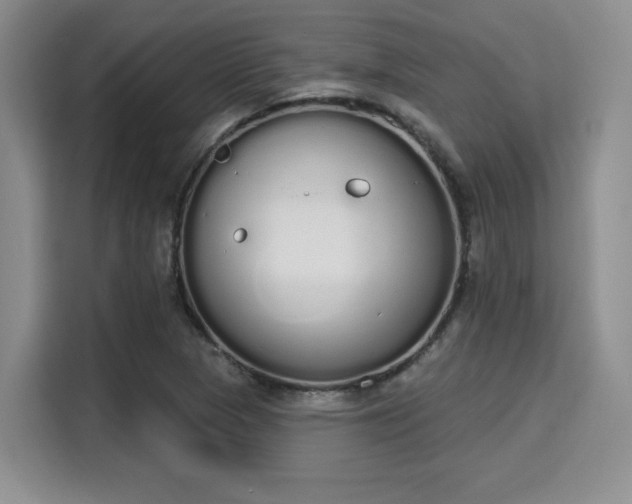 X0000115711313200911191241