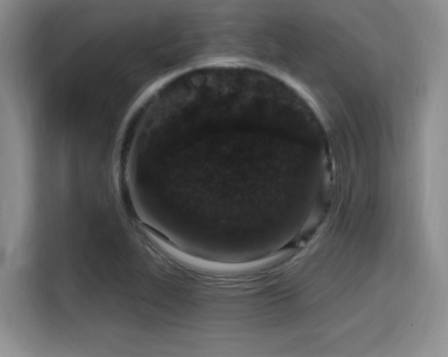 X0000115711319200911191241