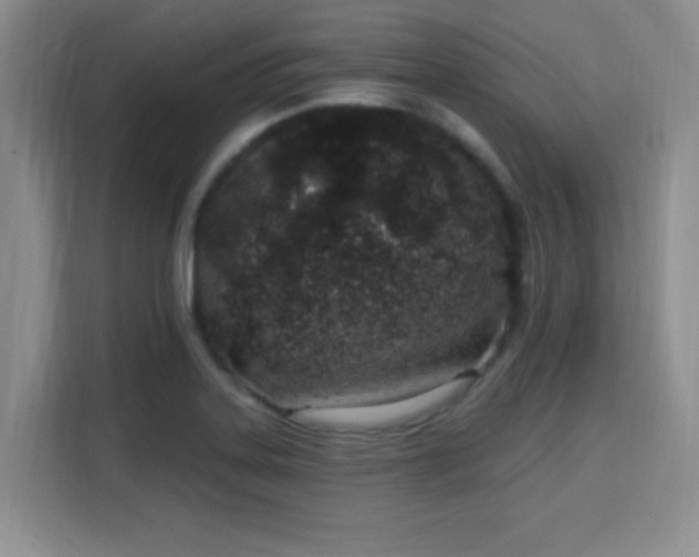 X0000115711323200911191241