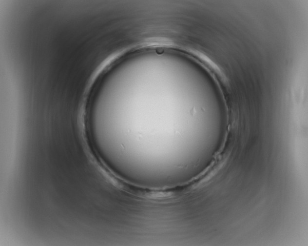 X0000115711325200911191241