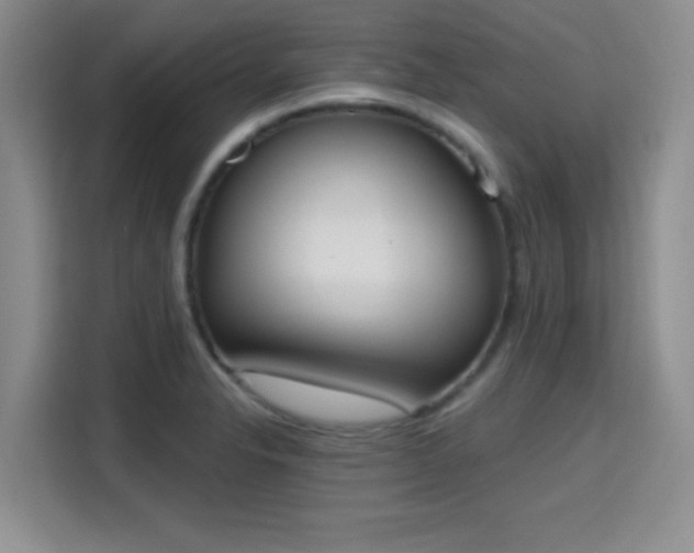 X0000115711326200911191242