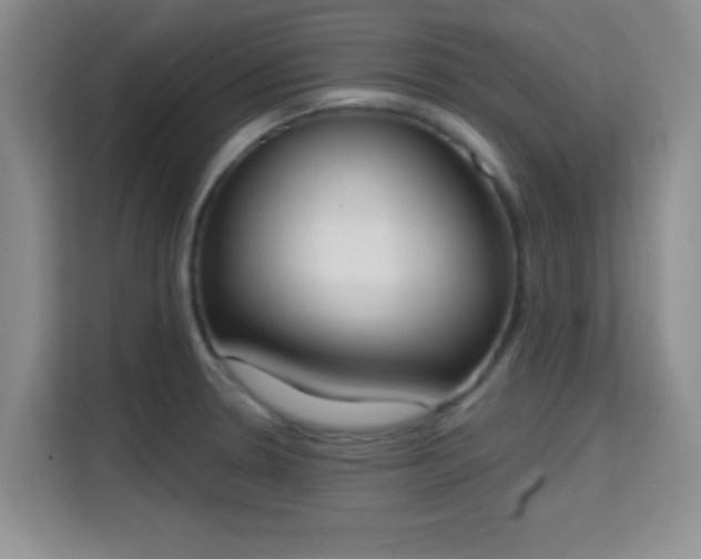 X0000115711330200911191242