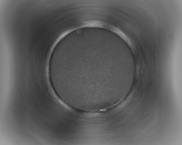 X0000115711331200911191242