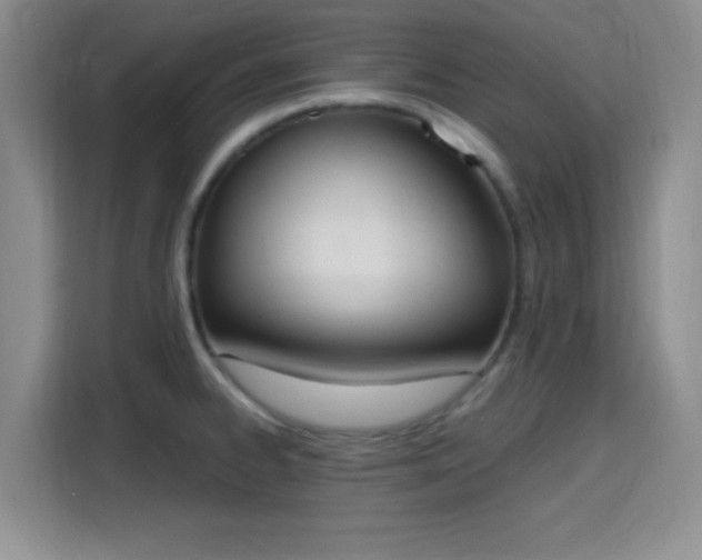 X0000115711334200911191242