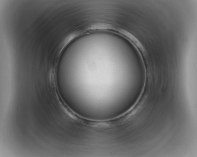 X0000115711337200911191242