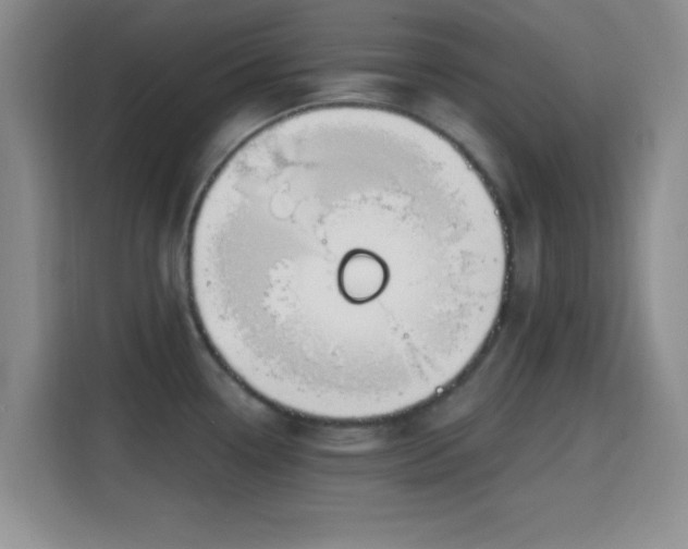 X0000115711338200911191242