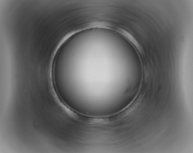 X0000115711339200911191242