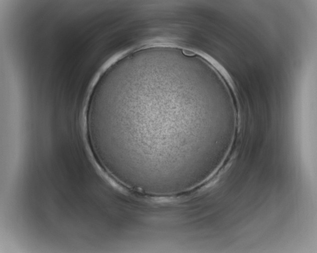 X0000115711341200911191242