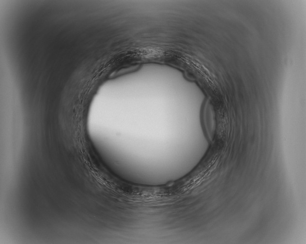 X0000115711345200911191241