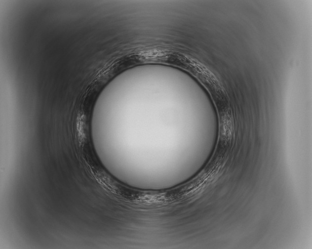 X0000115711346200911191241