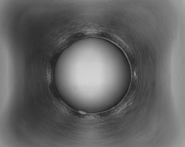 X0000115711348200911191241