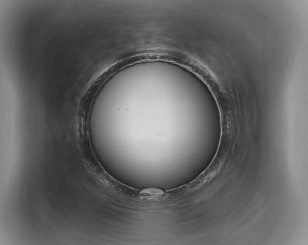 X0000115711352200911191241