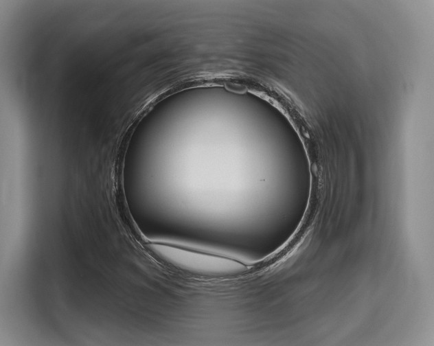 X0000115711353200911191241