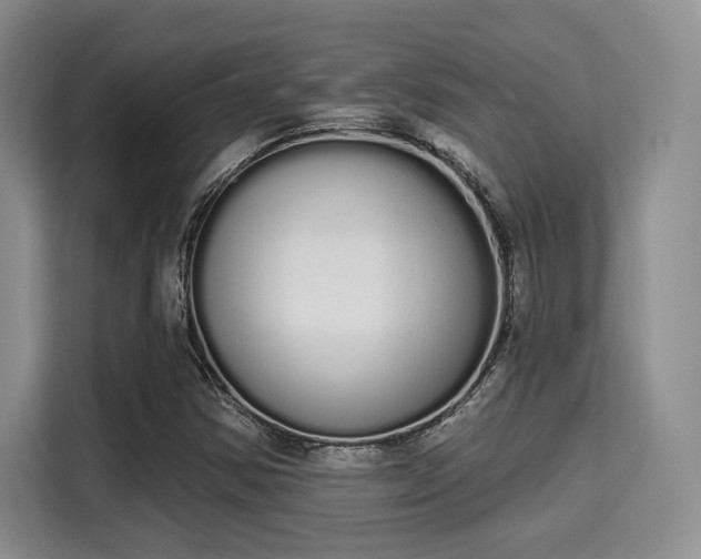 X0000115711354200911191241