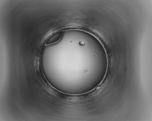 X0000115711355200911191241