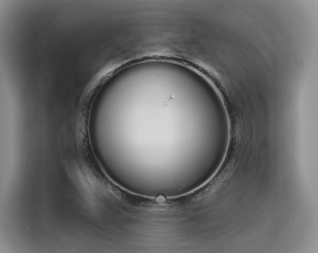 X0000115711359200911191241