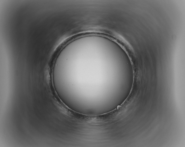 X0000115711360200911191241