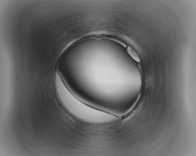 X0000115711361200911191241