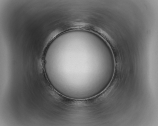 X0000115711362200911191241