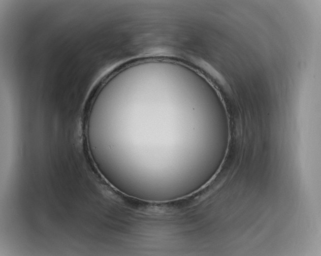 X0000115711364200911191241