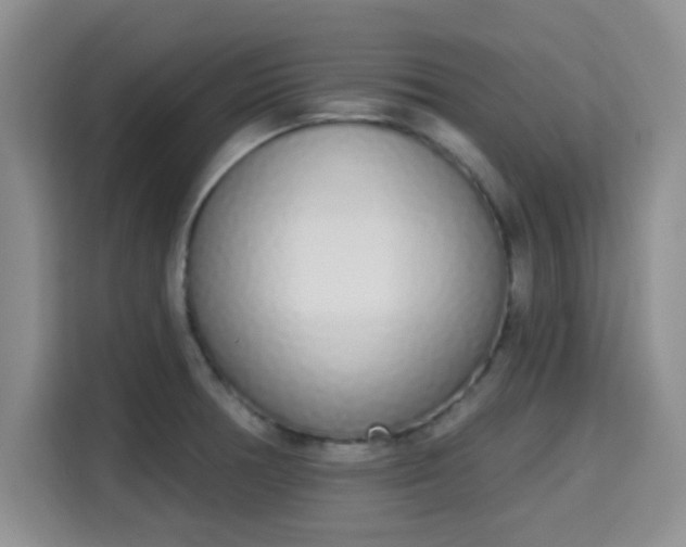 X0000115711378200911191241