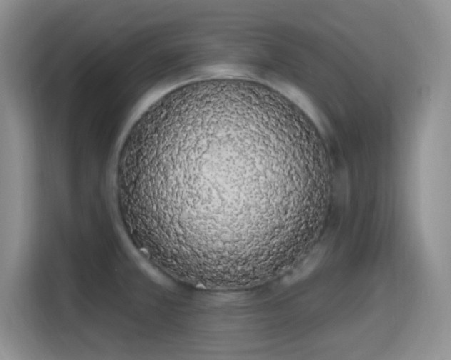 X0000115711381200911191241