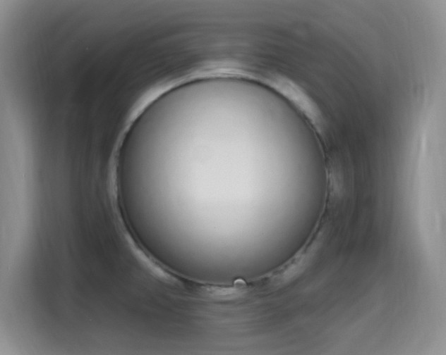 X0000115711382200911191241